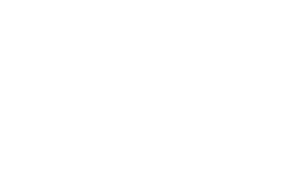 Tesla Wall Connector